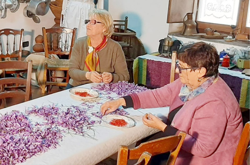 Presentato il Progetto "Le Strade dello Zafferano di Sardegna DOP"