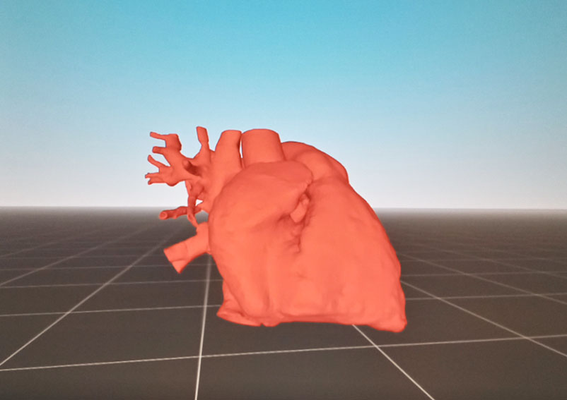 Esempio di cuore in 3D