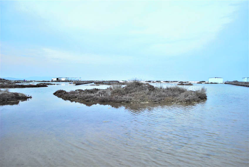 Stintino, le Saline