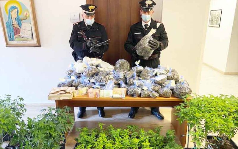 Coppia di 40 e 35 anni arresta a Olbia per coltivazione e spaccio di marijuana