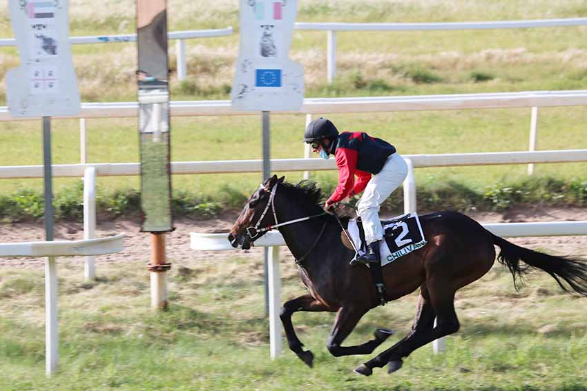 Ippodromo di Chilivani Capriolo de Bonorva