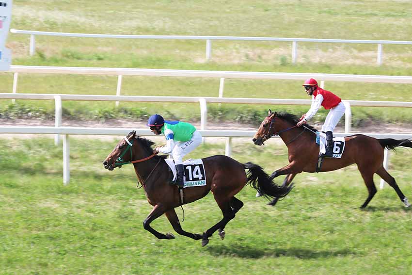 Ippodromo di Chilivani Corsa Cumbeniossa Carmilla