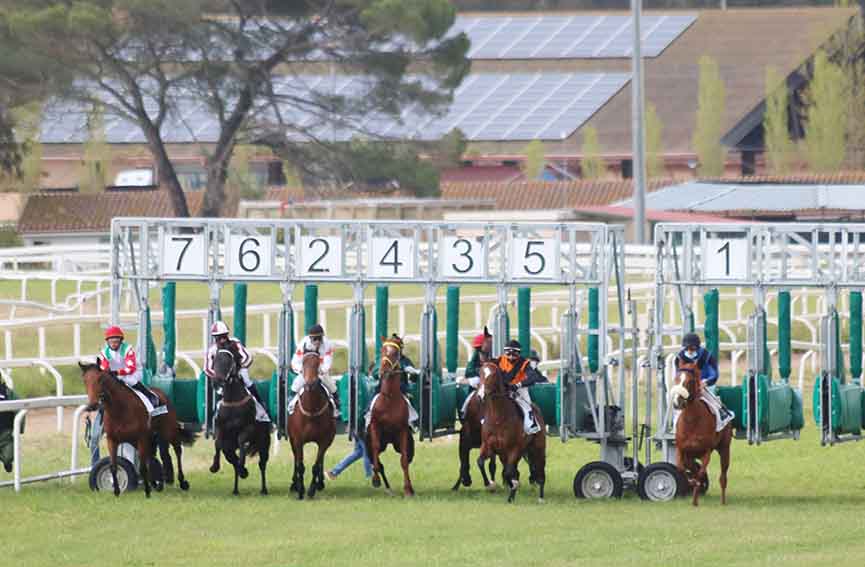 Ippodromo di Chilivani seconda giornata di corse