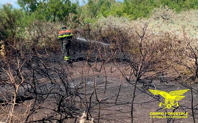 Forestale spegne incendio