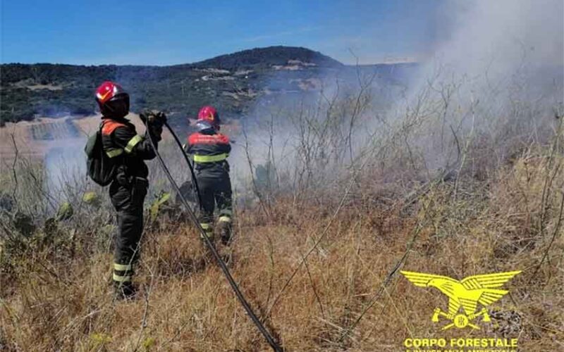 Incendi Sardegna 2