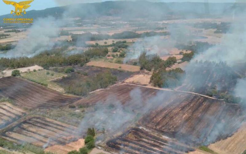 Incendi Sardegna