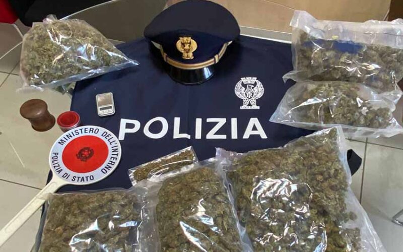 Sassari arrestata coppia sassarese 1.5 kg di marjuana