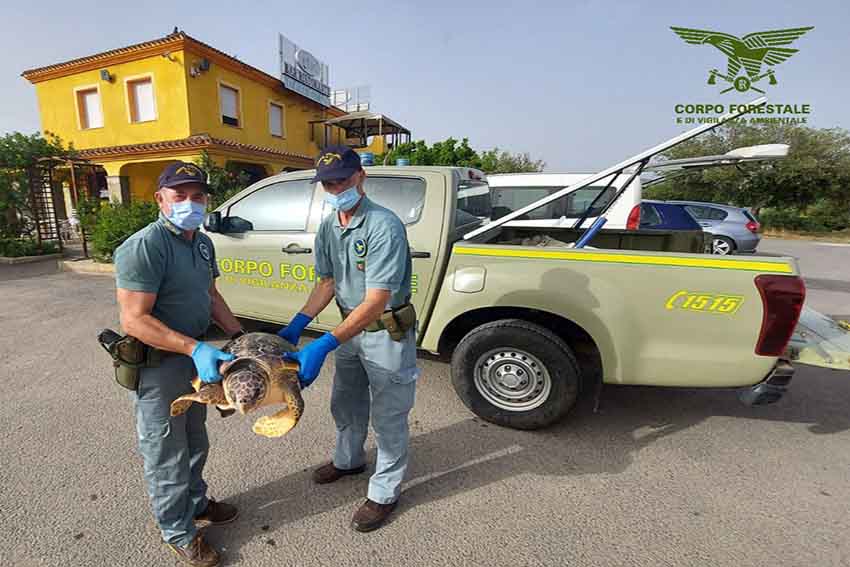 Siniscola La Caletta Caretta Caretta