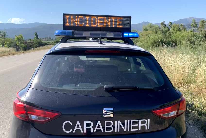 incidenti stradali animali vaganti