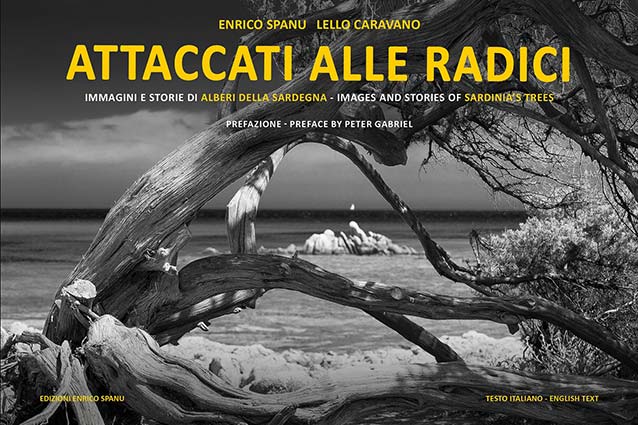 ATTACCATI ALLE RADICI Cover