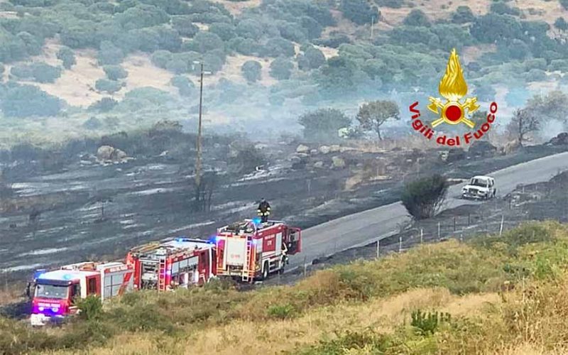 Incendi sardegna