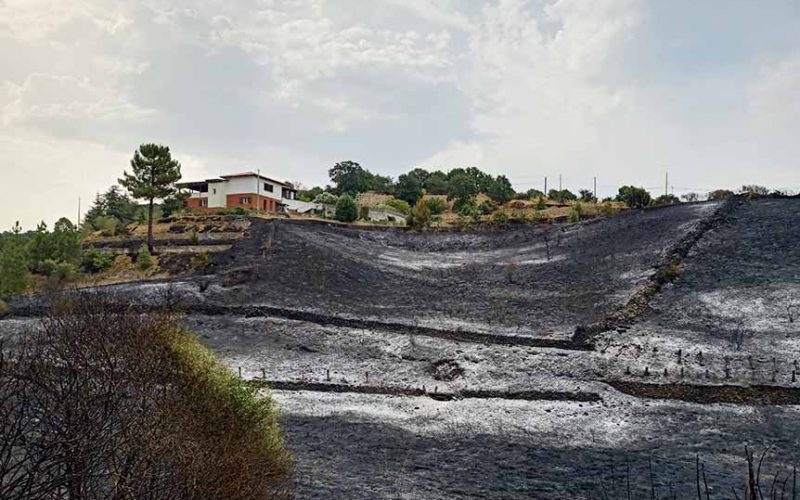 Incendio Salighes Ozieri