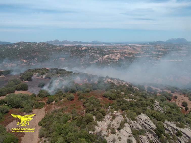 Incendio di Telti 2