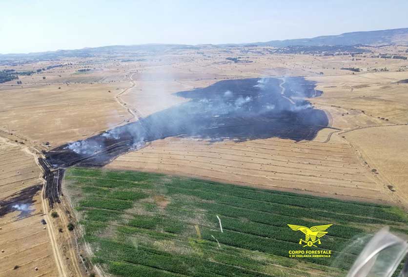 Incendio piana di Chilivani Ozieri