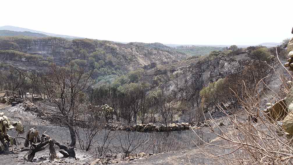 disastro incendio Santu Lussurgiu