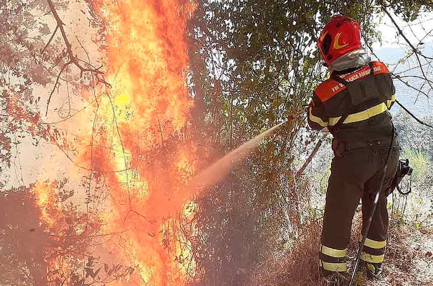 Fiamme incendio