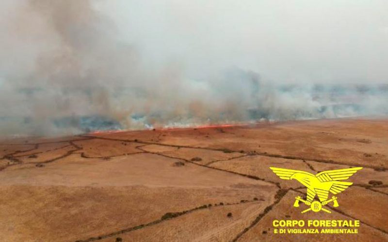 Incendio Borore