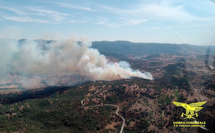 Incendio olzai