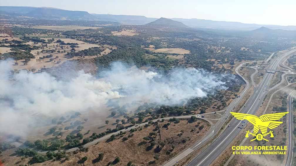 Incendio ploaghe