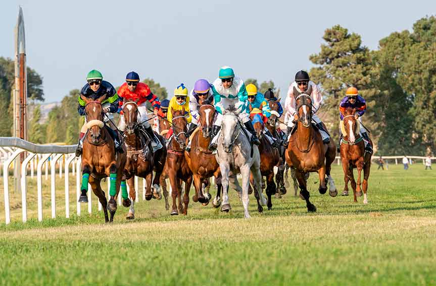 Ippodromo di Chilivani, cavalli in partenza