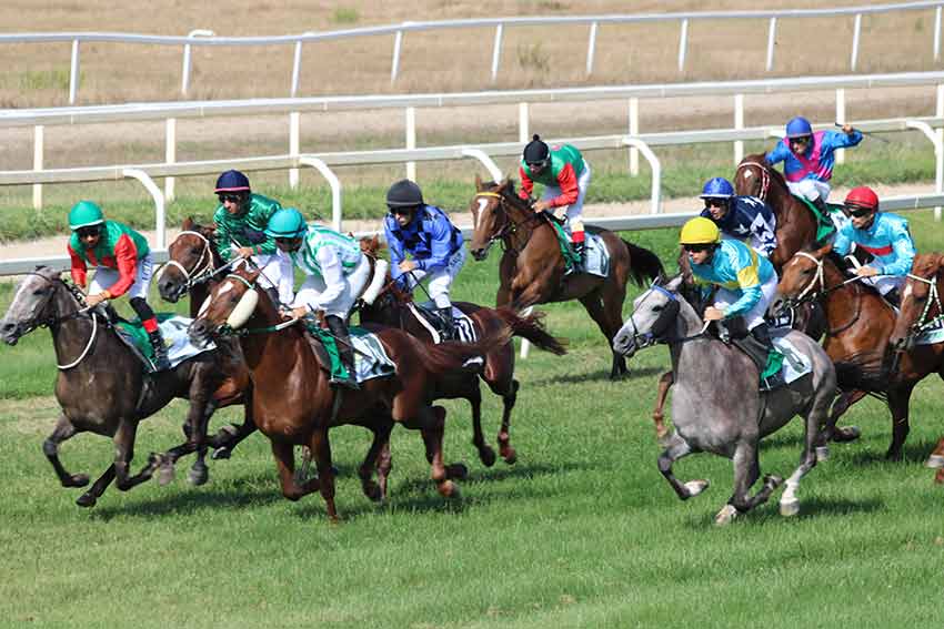 Cavalli in pista Ippodromo Chilivani