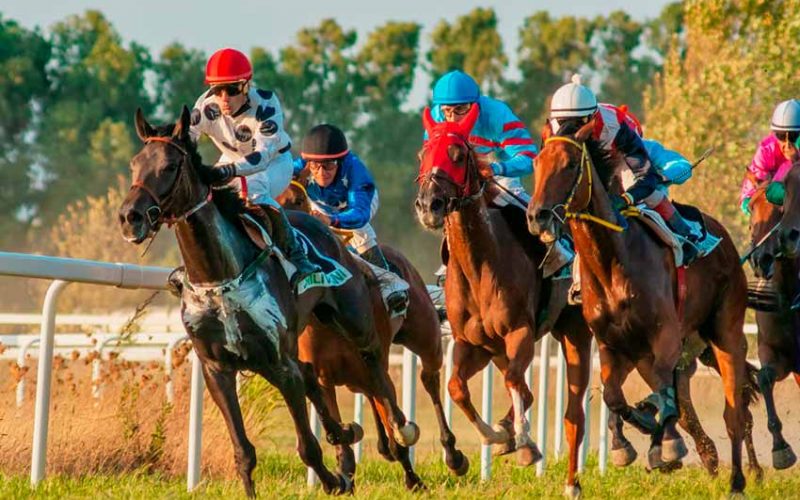 Ippodromo di Chilivani Foto E. Pane