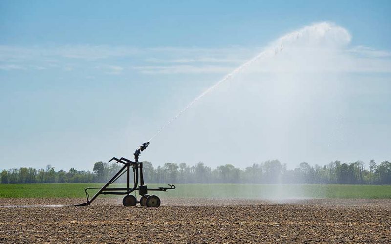 Siccità irrigazione coldiretti Cagliari