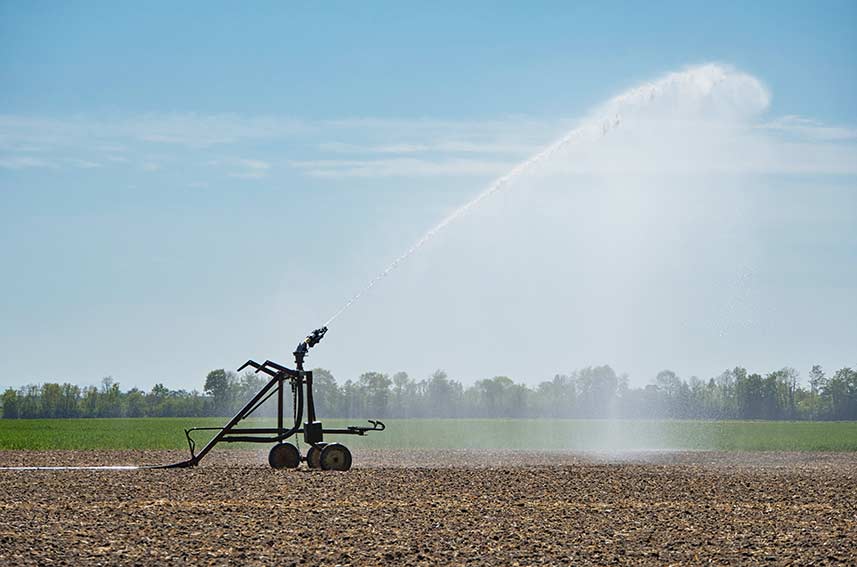 Siccità irrigazione coldiretti Cagliari