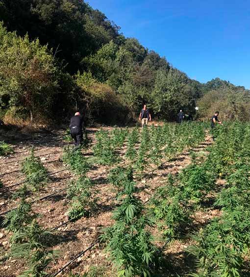 Carabinieri Bonorva piantagione Cossoine Romana