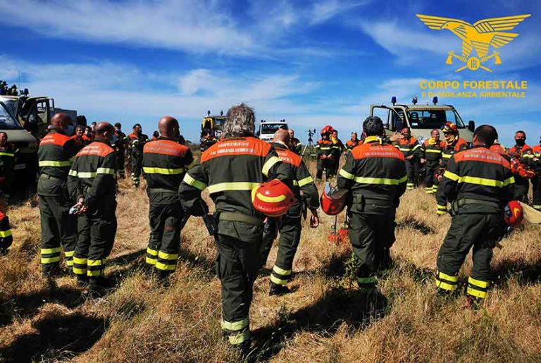 Corpo Forestale Sardegna, bandito concorso per 78 assunzioni Logudoro