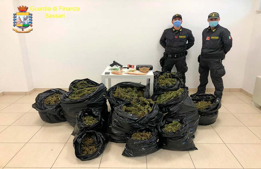 Olbia GdF sequestati 37 kg di Marijuana