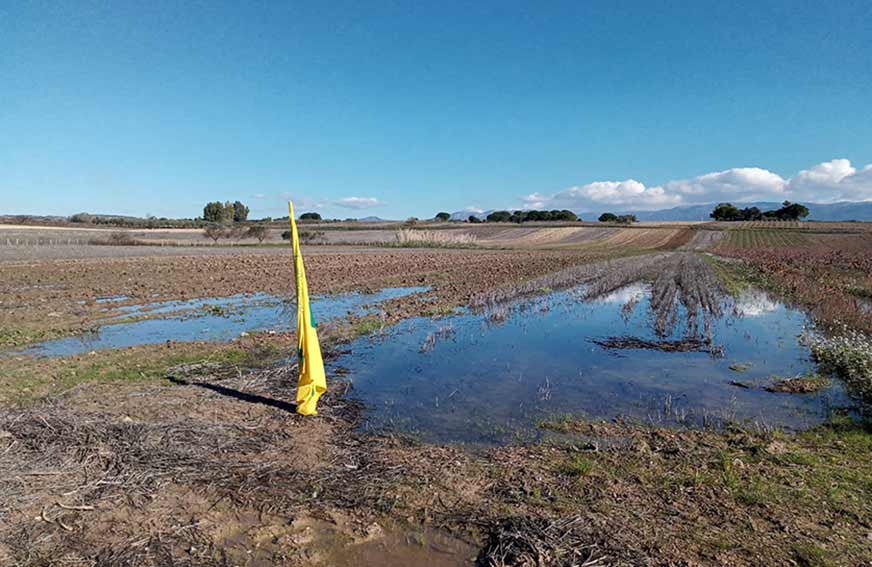 CAMPO ALLAGATO