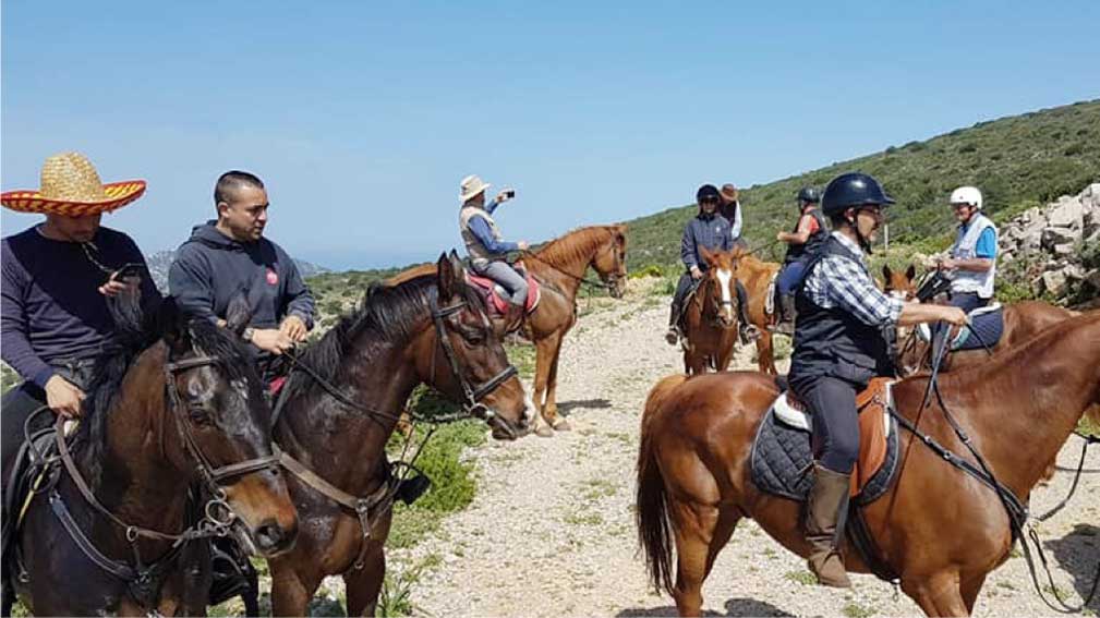 Escursione a cavallo Villanova Monteleone