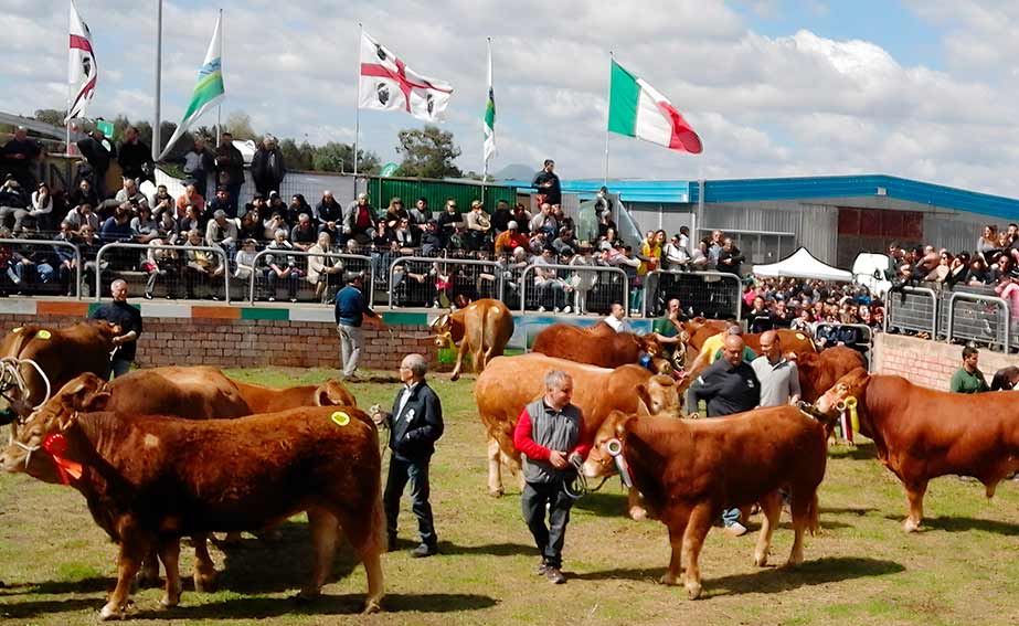 Fiera zootecnica Ozieri