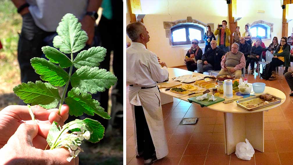 Laboratorio erbe Villanova Monteleone 2