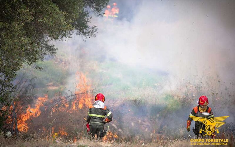 Incendio Forestale