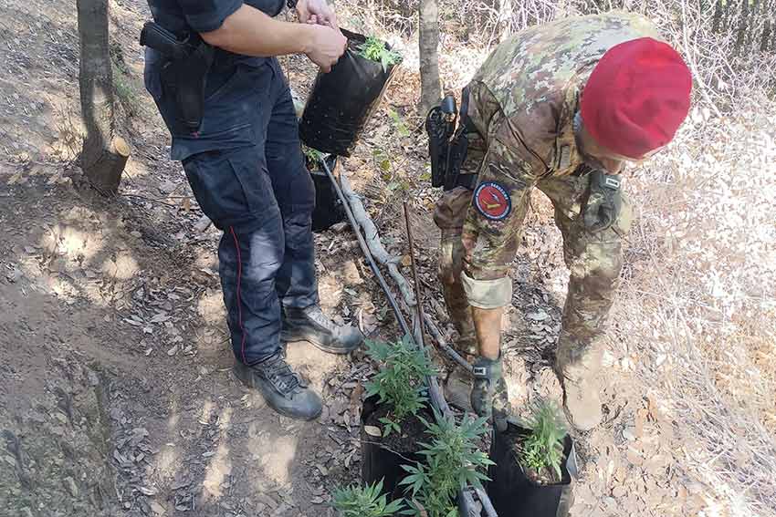 Arresto a Jerzu e denuncia a Cardedu