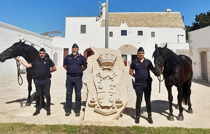 Foresta Burgos due nuovi cavalli alla stazione