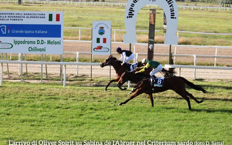 Ippodromo Chilivani Oliver Spirit Sabina de lAlguer