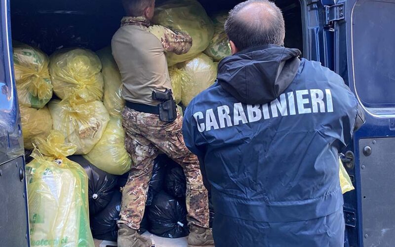 Arresto Sarule marijuana