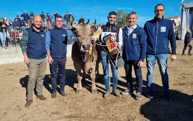 Deus che siat vincitrice Mostra sardo Bruna Ozieri