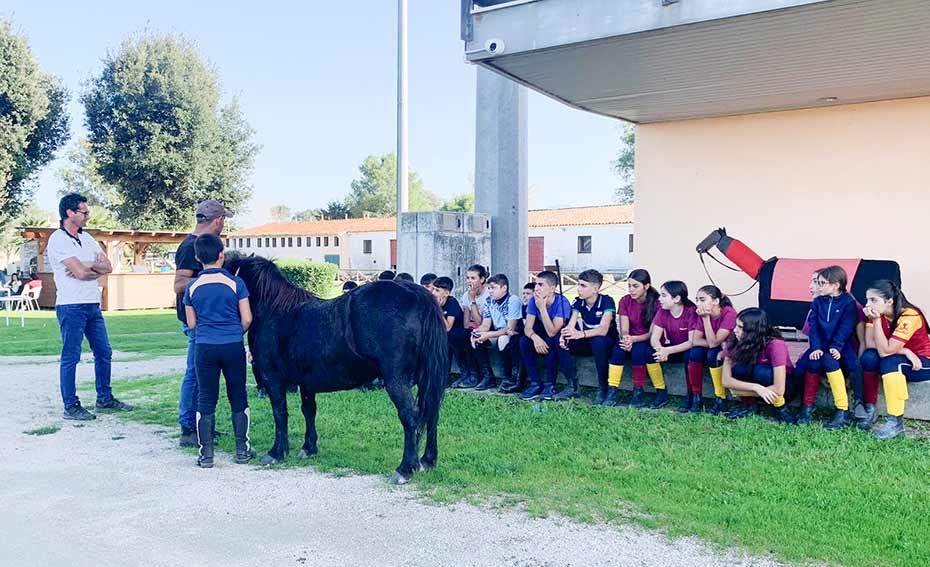 Diploma pony racing Ozieri ippodromo