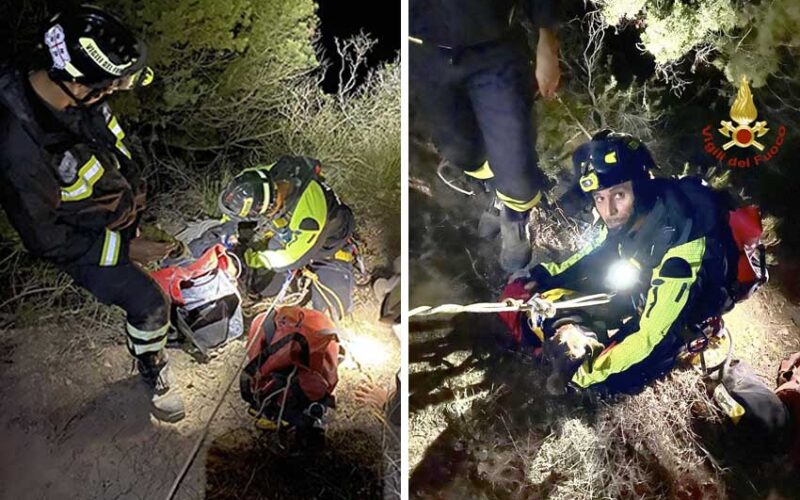 cane salvato Vigili del Fuoco Alghero