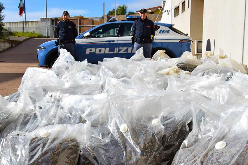 Olbia rinvenimento marijuana