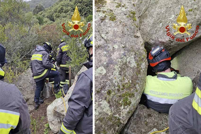 Salvataggio cane Berchidda